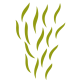 toprak-plant-icon-04
